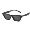 Vintage Cat Eye Sunglasses Woman Retro Shades Black Sun Glasses Female Fashion Small Frame Mirror Square