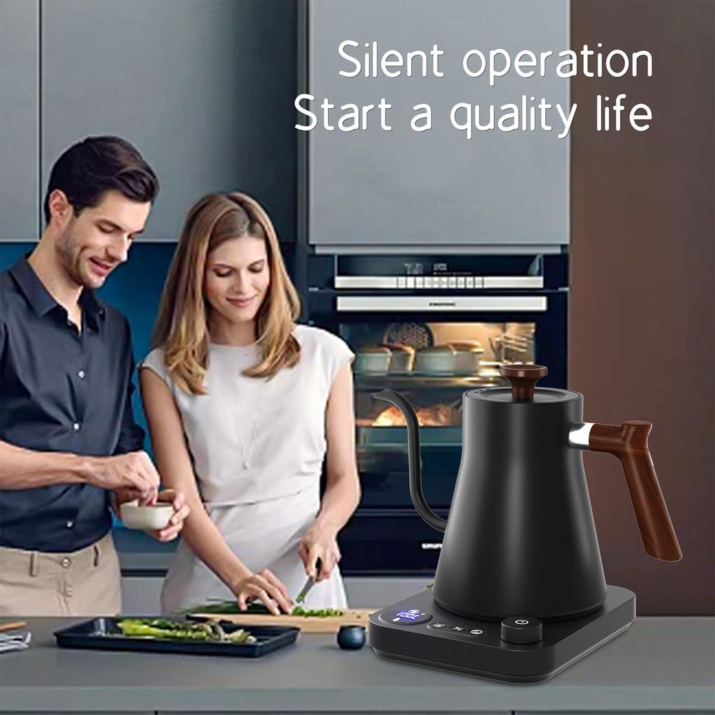 Electric Gooseneck Kettle 1200W Powerful and Fast Water Boiler Stainless Steel Inner NTC Temperature Control LCD Display Auto Shut Off 0.9L Kettle