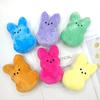 Нетоксичные плюшевые кролики Peeps, пасхальные игрушки, наполнители для подарочных пакетов, призы для карнавала, ассортимент, пасхальные яйца для детей, фильтры, сувениры для вечеринки