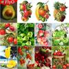 Full Drill Square Diamond Painting Fruit Needlework Art Diamond Embroidery Animal Diamond Mosaic Handicraft Home Decor