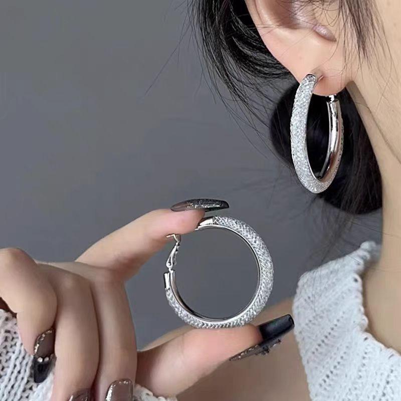 Exaggerated Mesh Crystal Zircon Geometric Big Earrings S Silver Needle Circle Earrings Earrings