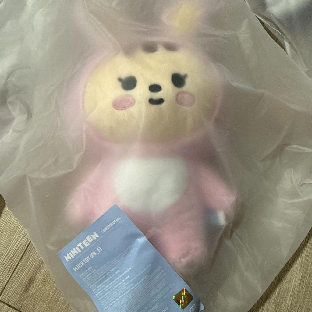 [USED] SEVENTEEN Official Mini Tin Jeonghan Pop-Up Plush Toy