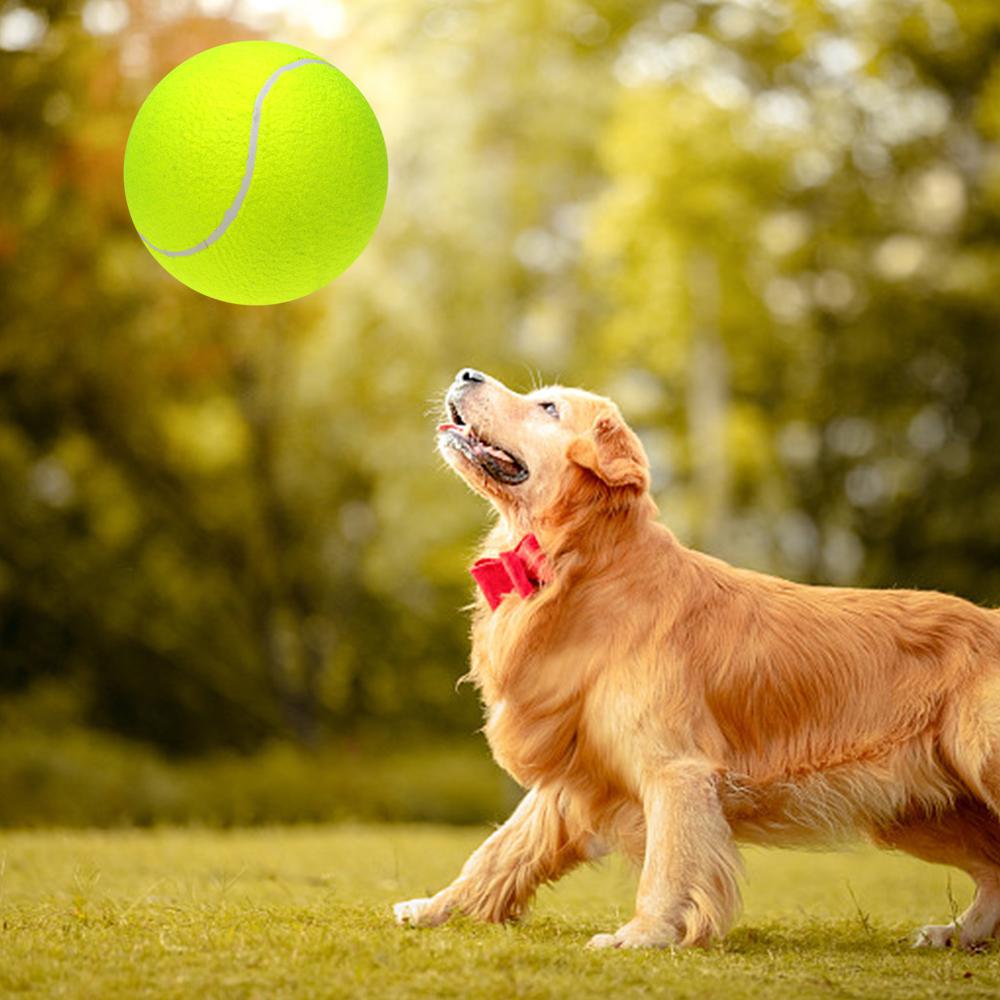 9.5‘um Oversize   Tennis  s Inflatable Tennis   with Pump Dog Toy  s For Signature Children Adult Pets Dogs Cats Fun
