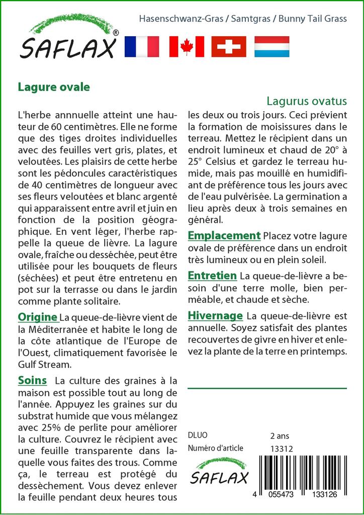 SAFLAX Garden in the Bag - Трава Банни Хвост - 100 семян - С субстратом в подходящем мешке - Lagurus ovatus