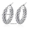Classic Fashion Round Stainless Steel Twist Hoop Earrings For Women 4.5mm Thick Ear Buckle Gold Silver Color Earrings Jewelry