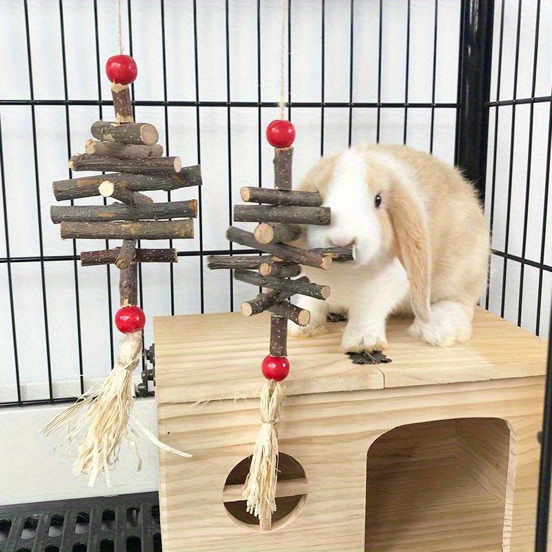 1pc Natural Apple Wood Chewing Toy Hanging String for Small Pets Hamsters Rabbits Birds Parrots Guinea Pigs for Hanging In Cages