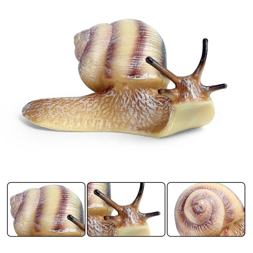 Cognitive Puzzle Science Education Snail Model Garden Decoration Simulation Insect Snail Statue