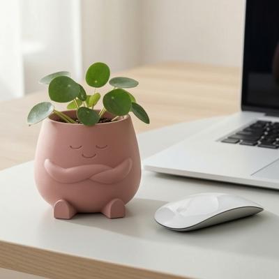 Украшения для цветочных горшков 3D-печать Милый настольный держатель для растений Прочный PLA Домашний декор для суккулентов