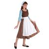 Maid Halloween Cosplay Costume - Cinderella Inspired Farmhouse Outfit