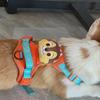Retractable Dog Vest and Collar with Harness