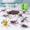 Children's Cross-Border Animal Beetle Model - Realistic Solid Plastic Insect Toy