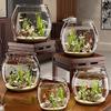 Ultra Clear Round Fish Bowl Goldfish Bowl Desktop Small Aquarium Desktop Decoration
