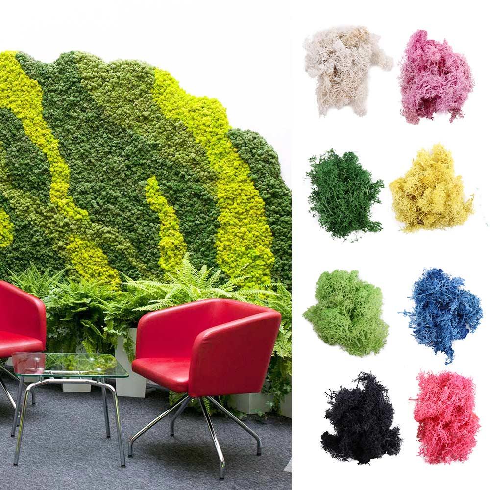Mini Landscape Home Ornaments Fake Flowers Garden Decoration Artificial Plants Moss Eternal Moss