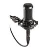 Audio-Technica AT2035 Condenser Microphone, Unidirectional, Low-Cut Switch, Pad Switch, Dedicated Shock Mount, for Recording, Home Recording, Video