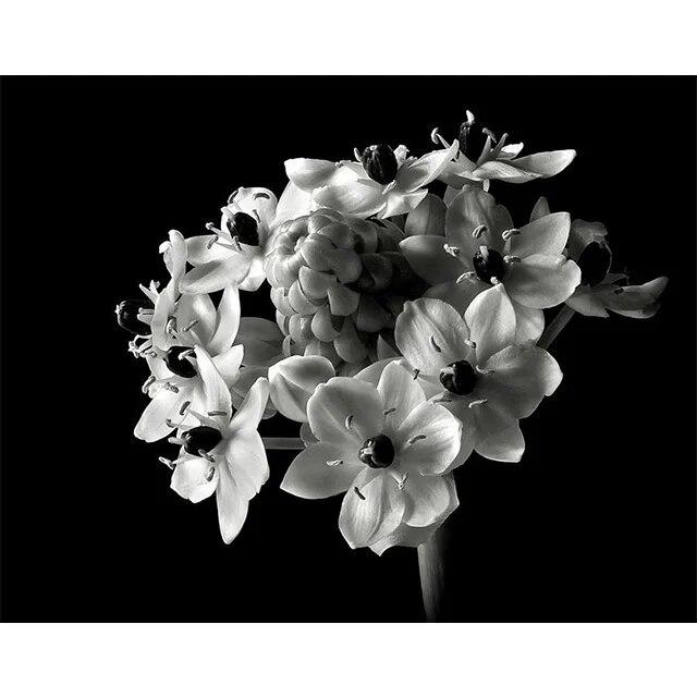 Черно-белые цветы подсолнуха, лилии, принты, постер, холст, живопись, современные настенные художественные картины для гостиной, спальни, домашний декор, без рамки