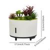 Aroma Diffuser for Essential Oils, Humidifier with Light, Artificial Plant, Music,
