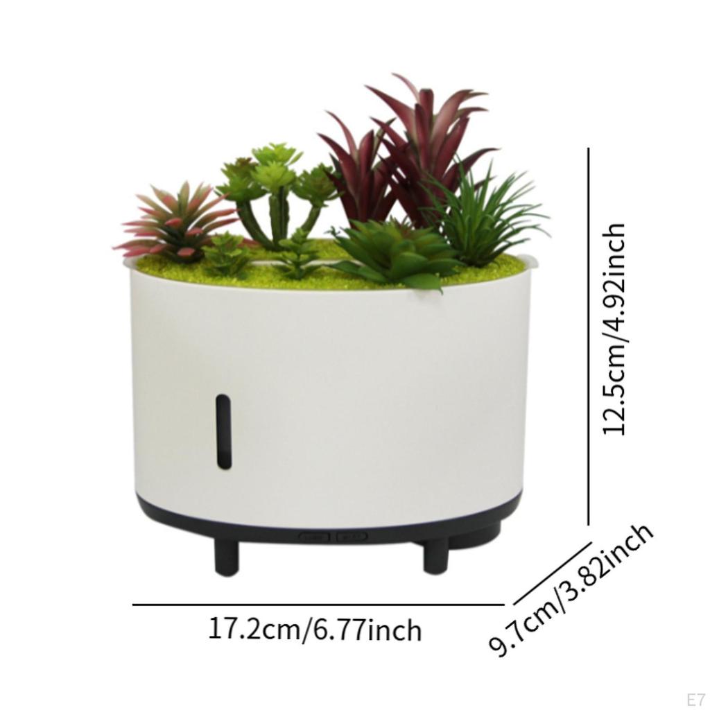 Aroma Diffuser for Essential Oils, Humidifier with Light, Artificial Plant, Music,