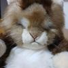 Б/у плюшевая игрушка кошка Showa Retro Orient Toy