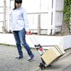 YAMAZEN GT-60BH6 Folding Carry Cart, Lightweight, Step-Resistant, 6-Wheel Type