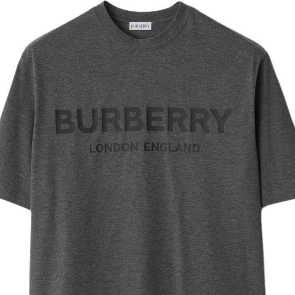 Burberry T-Shirts Men's Gray Crew Neck Moderate 81042301