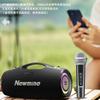 Уличный Bluetooth-динамик для караоке Newmine BT101 (Китайская версия)