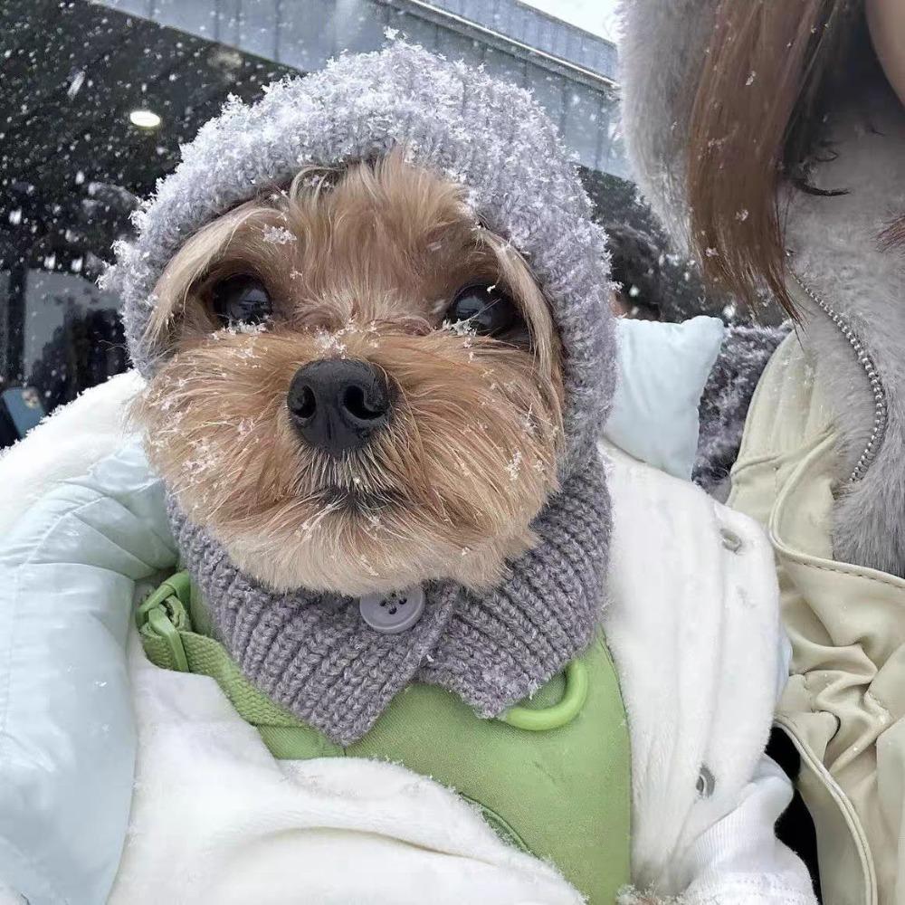 Fashion Dog Knitted Hat Soft Dog Head Cover Cute Cat Bear Hat  for Dog Cat