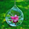Hanging Ball Glass Flower Planter Vase Terrarium Container Landscape Bottle