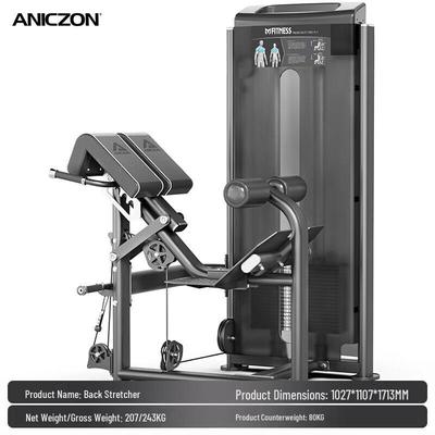Yimai F2072 Back Extension Machine