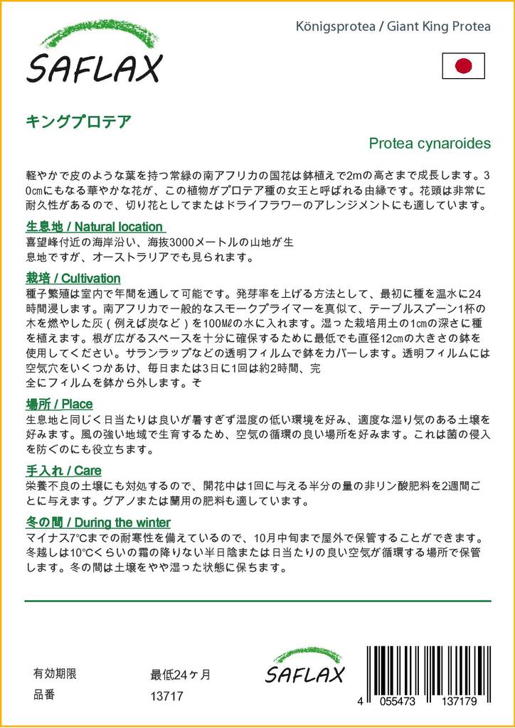 SAFLAX Giant King Protea - 5 семян - С горшечным субстратом для лучшего выращивания - Protea cynaroides