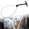 Stainless Steel Trap Pig Squeezer Holder Catcher Pig Livestock Snare Farming Equipment Durable
