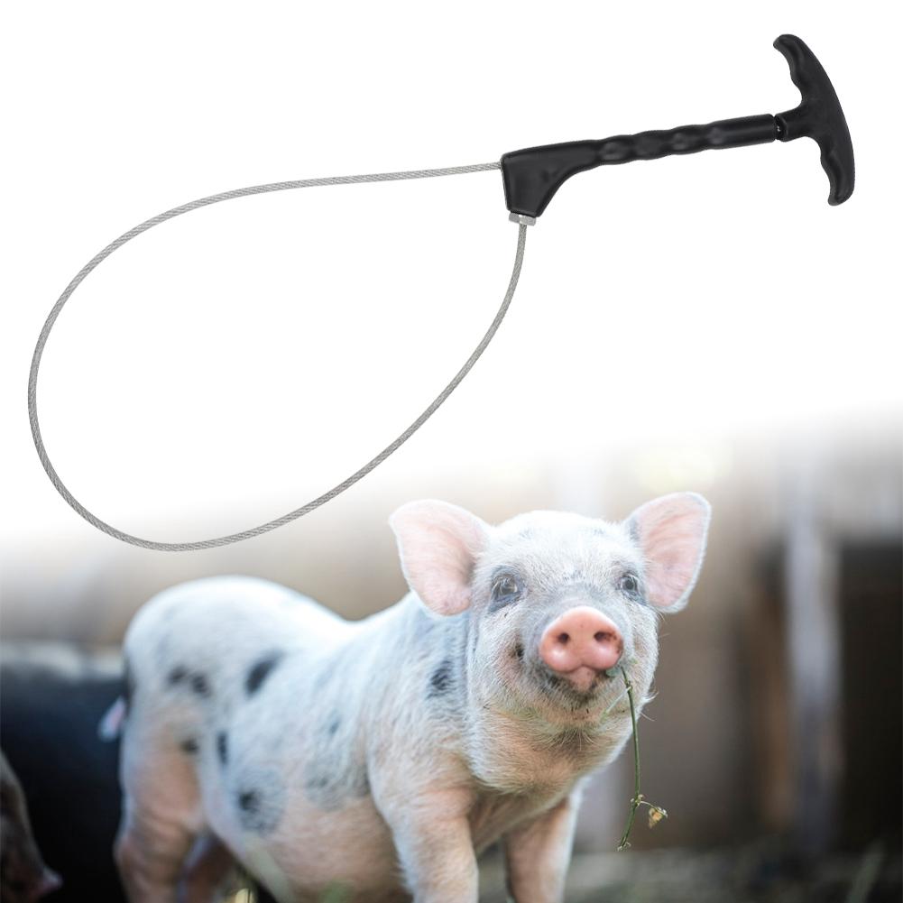 Stainless Steel Trap Pig Squeezer Holder Catcher Pig Livestock Snare Farming Equipment Durable