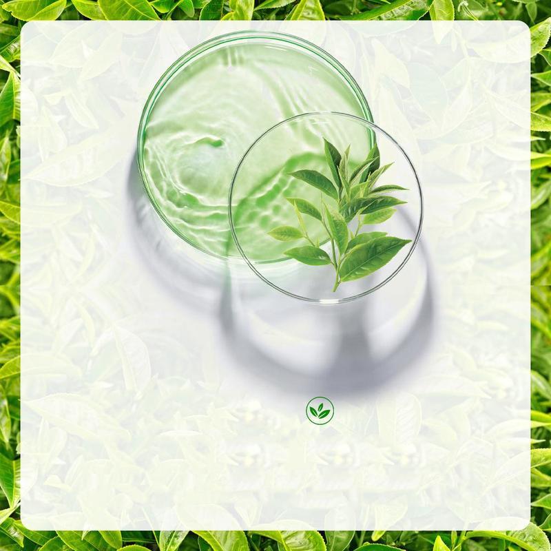 Увлажняющий прозрачный крем с зеленым чаем, увлажняющий увлажняющий уход, омолаживающий крем для ухода за лицом