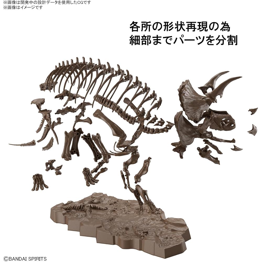 BANDAI SPIRITS (Bandai Spirits) Воображаемый скелет (Воображаемый скелет) Трицератопс масштаб 1/32 п...