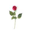 Real Touch Artificial Rose