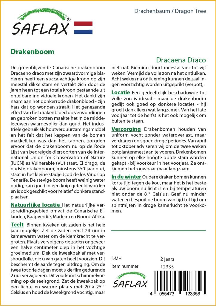 SAFLAX Драконово дерево - 5 семян - Dracaena Draco