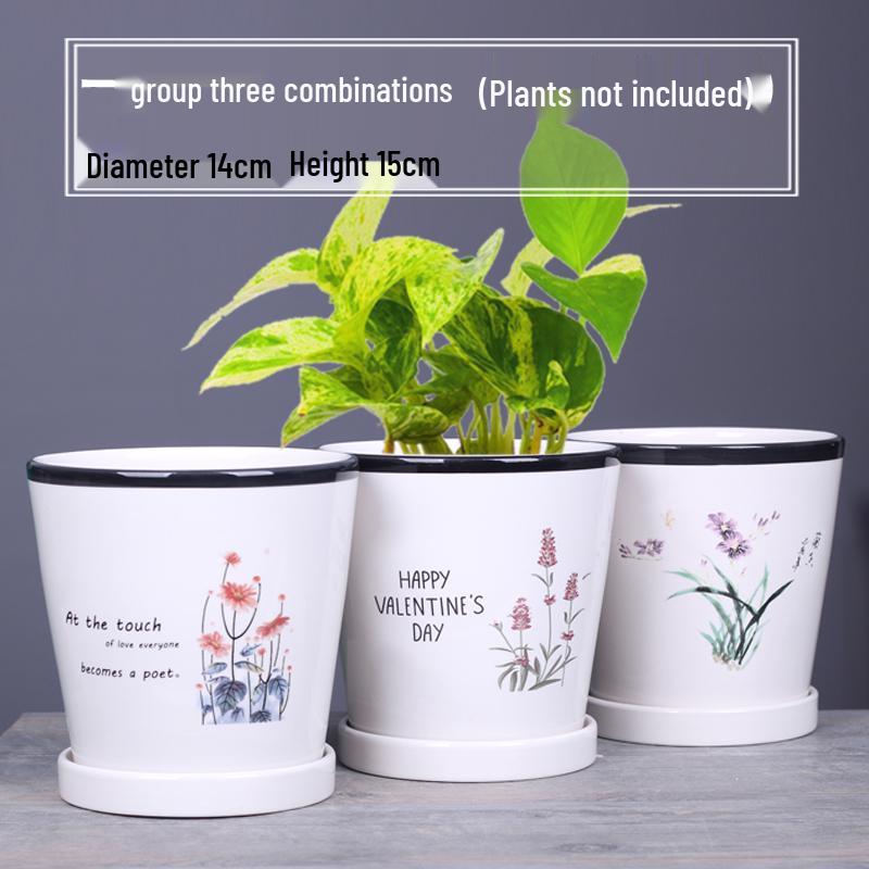 2025 Большой керамический цветочный горшок с поддоном для балкона и гостиной - Орхидея и Суккуленты в стиле альбома