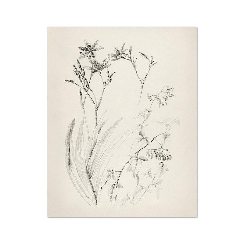 Эскиз дерева Винтажный рисунок Картина на холсте Фермерский дом Деревенский настенный рисунок Картина Антикварный ботанический постер Печать Декор для гостиной