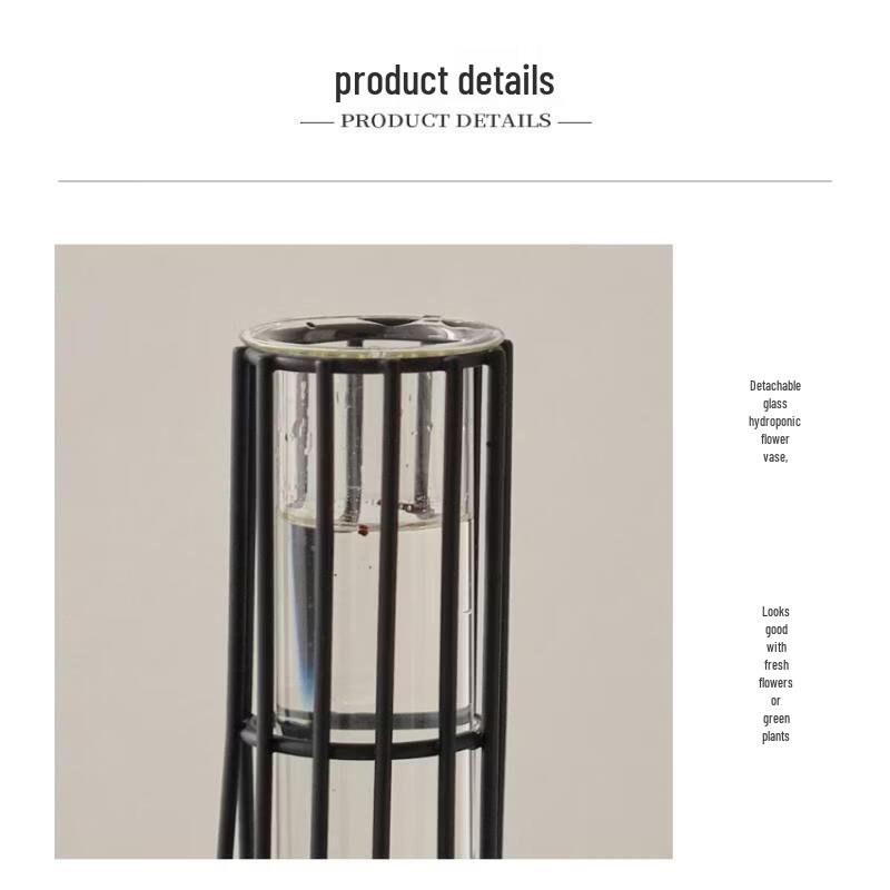 Nordic Ins-Style Iron Art Test Tube Hydroponic Vase