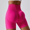 European & American Women's Seamless High Waist Yoga Shorts