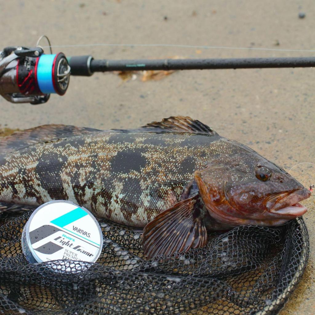 VARIVAS Avani Light Game Super Premium PE X4 PE Леска, 100 м, 0.4, 8.5lb