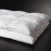 CALVERT Supreme All-Cotton Goose Down Comforter