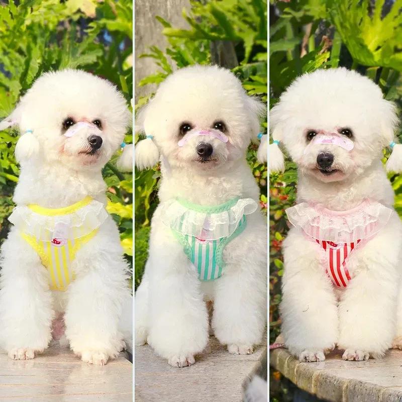 Daisy Embroidered Dog Harness and Leash Set with Snack Bag Breathable Mesh Puppy Vest for Small Dogs Cats