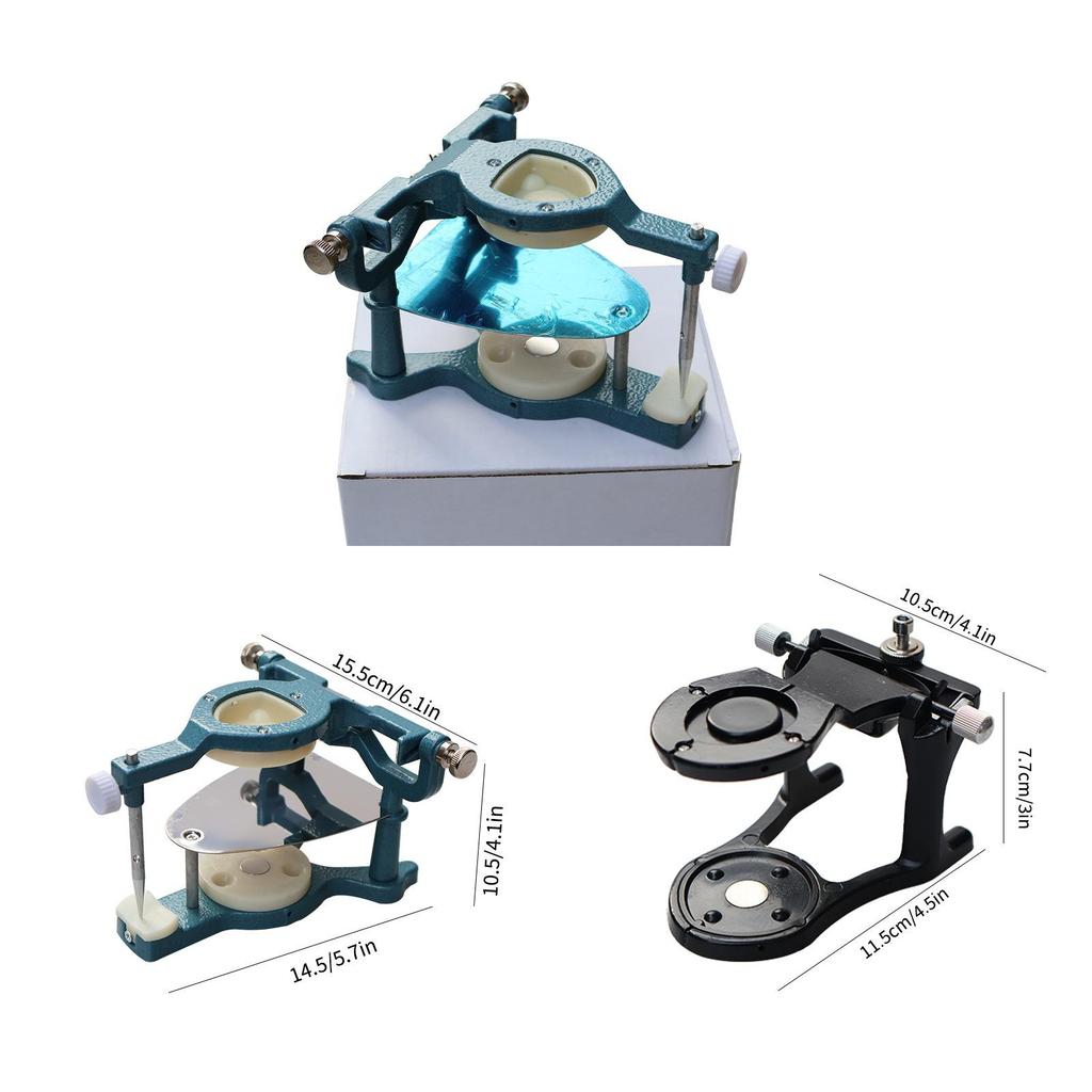Magnetic Dental Articulator For Adults With Anatomical Model For Dental Education And Lab Use