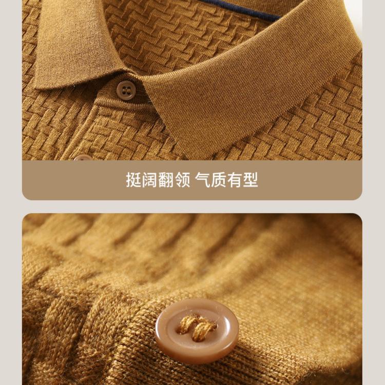 Early Spring Lapel T-Shirt Men's Knitted Sweater