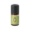 Incense Oil 5ml
