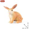 Oenux  Wild Animals Forest Orangutan Pigeon Hedgehog Aardvark Capybara Action Figure Model Figurines Pvc Collection Kids Toy