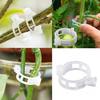 100pcs Plant Clips Supports Reusable Plastic Connects Fixing Vine Tomato Stem Grafting Vegetable Plants Orchard and Garden Tools