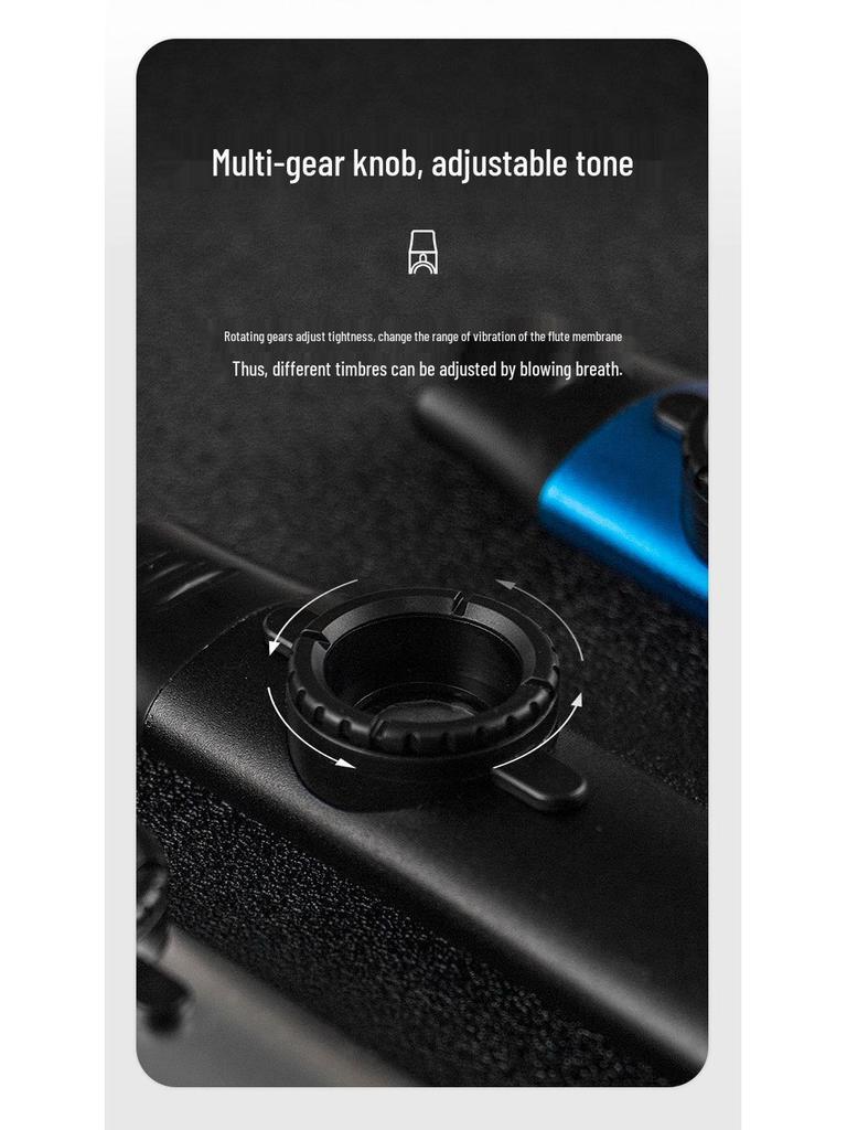 Professional Metal Kazoo Flute for Beginners - Easy Guitar Accompaniment & Unique Niche Instrument