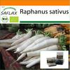 Garden in the Bag - Органический - Редис - Mooli Minowase - 100 семян - С субстратом в подходящем мешке - Raphanus sativus