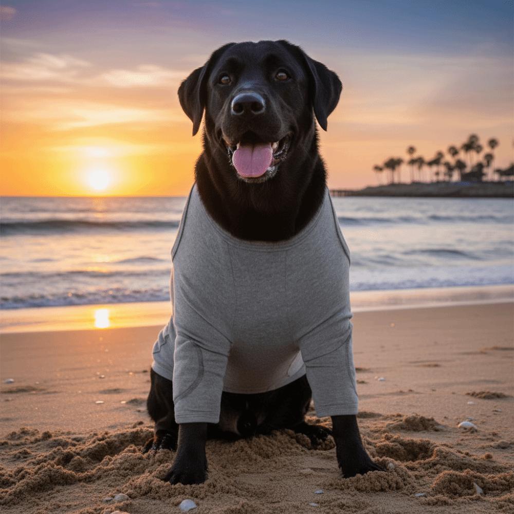 Breathable Dog Leg Sleeve Professional High Elasticity Dog Elbow Brace Long Sleeve Polyester Dog Knee Pads Licking Prevention